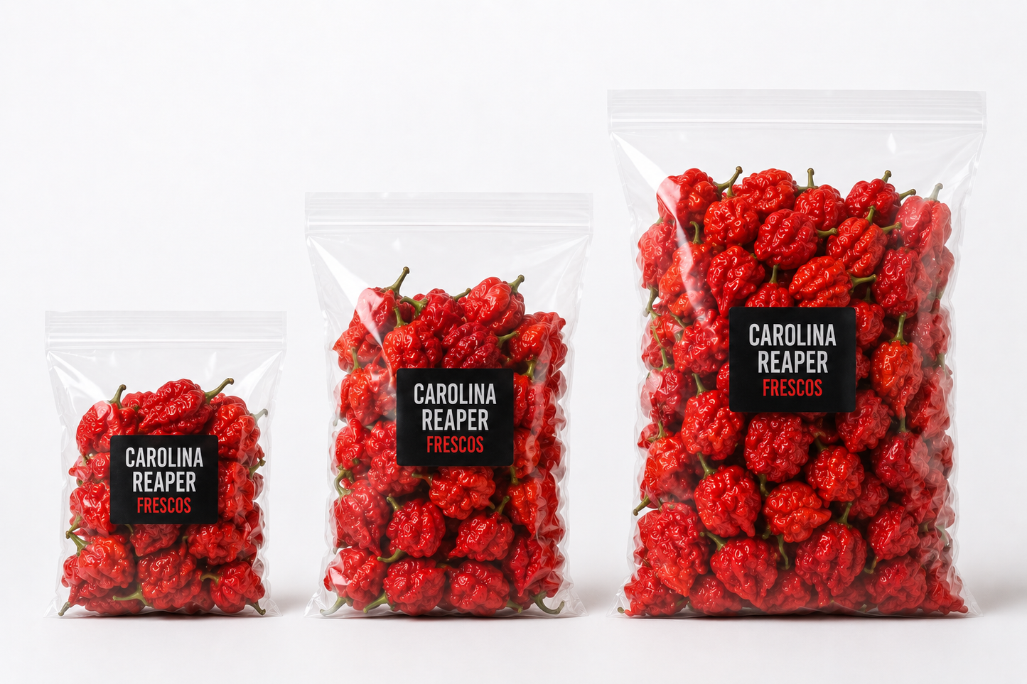 CHILES FRESCOS CAROLINA REAPER ORGÁNICO – BOLSAS DE 0,5 KG, 1 KG Y 2 KG