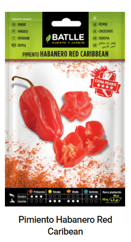 Semilla de HABANERO RED CARIBBEAN - BATLLE - 1 g (Aprox. 150 semillas por sobre)