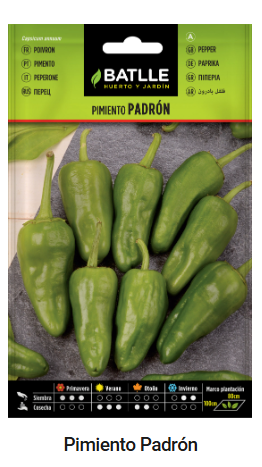 Semillas de PIMIENTO DE PADRÓN - BATLLE - 1 g (Aprox. 150 semillas por sobre)